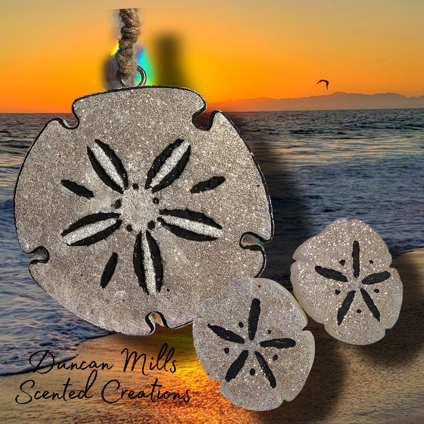 Sand Dollar Freshie | Made to order