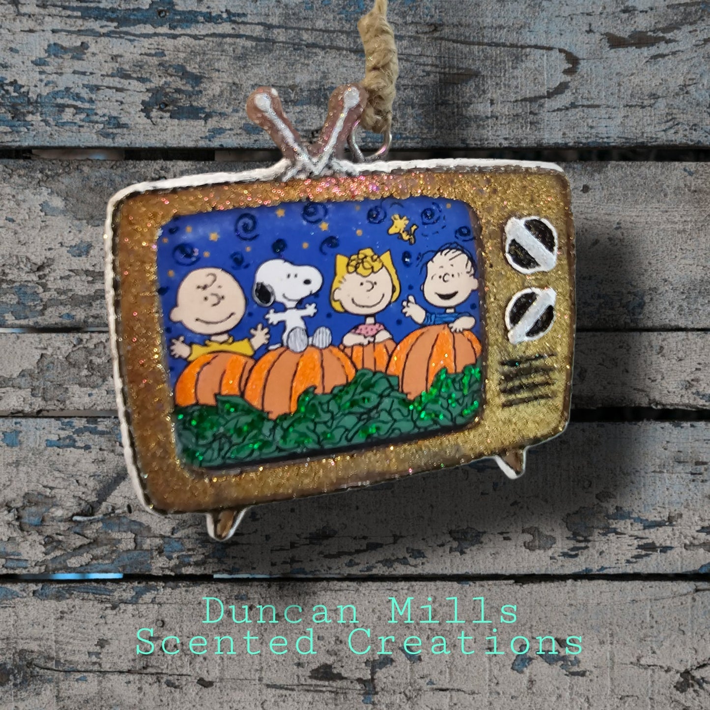 Vintage Tv Freshie | Charlie Brown | Made to order