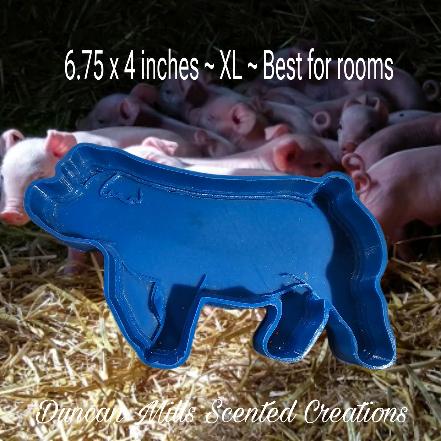 XL Duric Show pig | Pig Freshie | Made to order