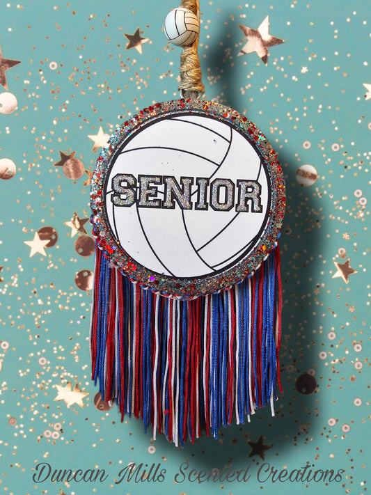 Volleyball Ball | Senior | Made to order