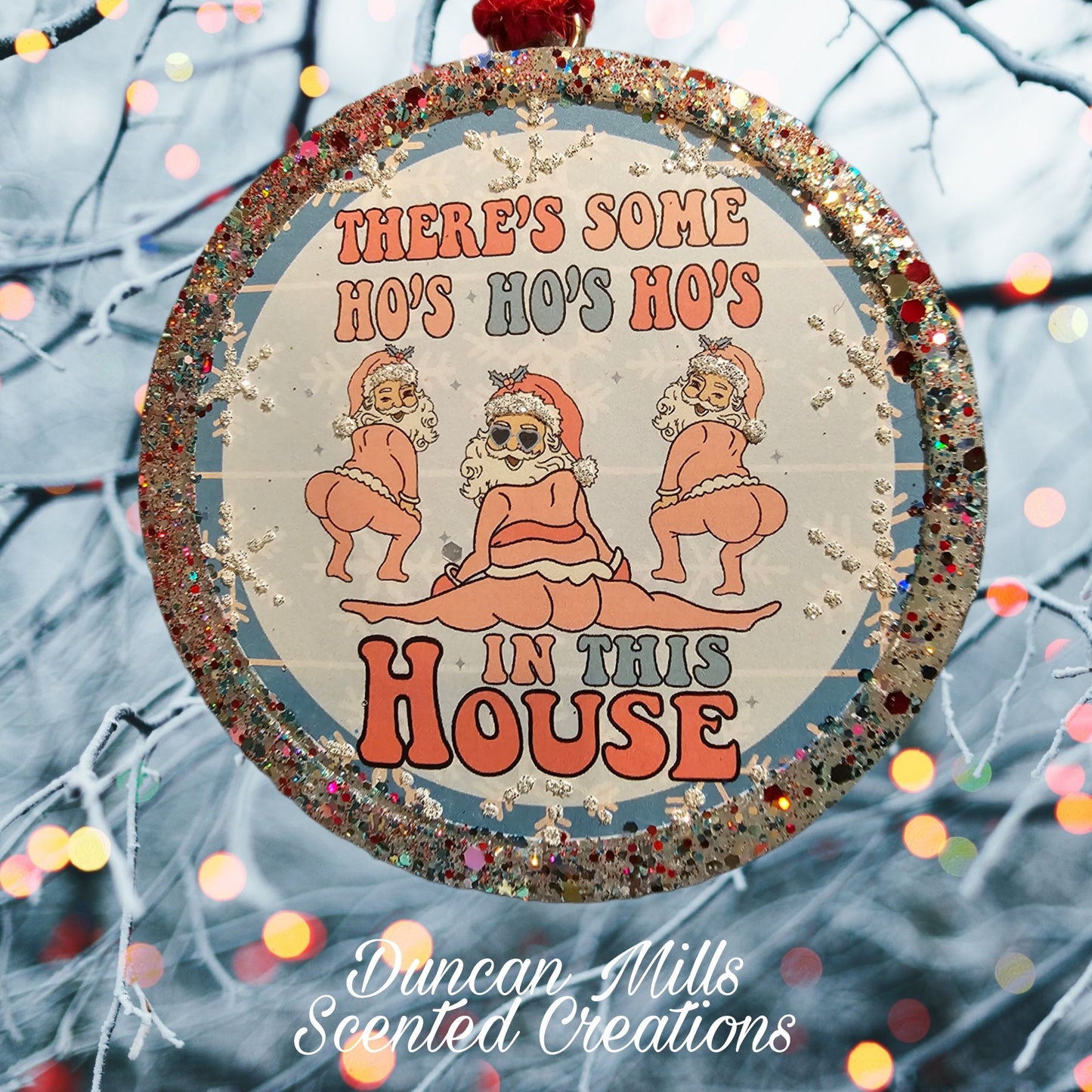 There's Some  Ho Ho Ho's in this house Freshie | Funny Freshie  | Made to order