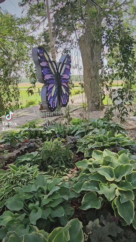 Butterfly Freshie