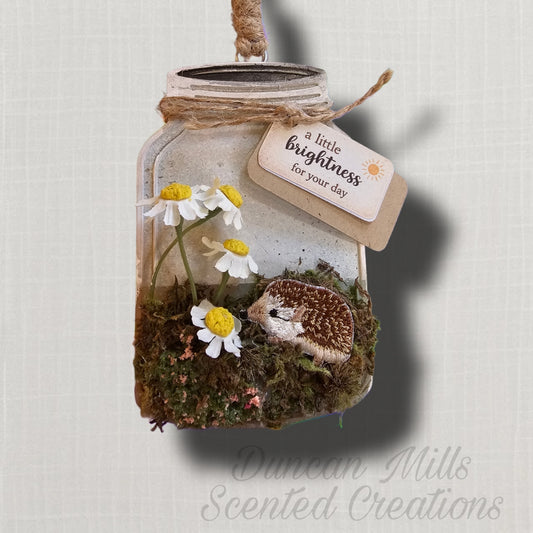 RTS Butterscotch Bourbon| Hedgehog Daisy Jar Freshie  |  Signature Woodland