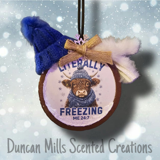 Literally Freezing Freshie | Cow Lovers | Highland Cow | Choose Scent from list
