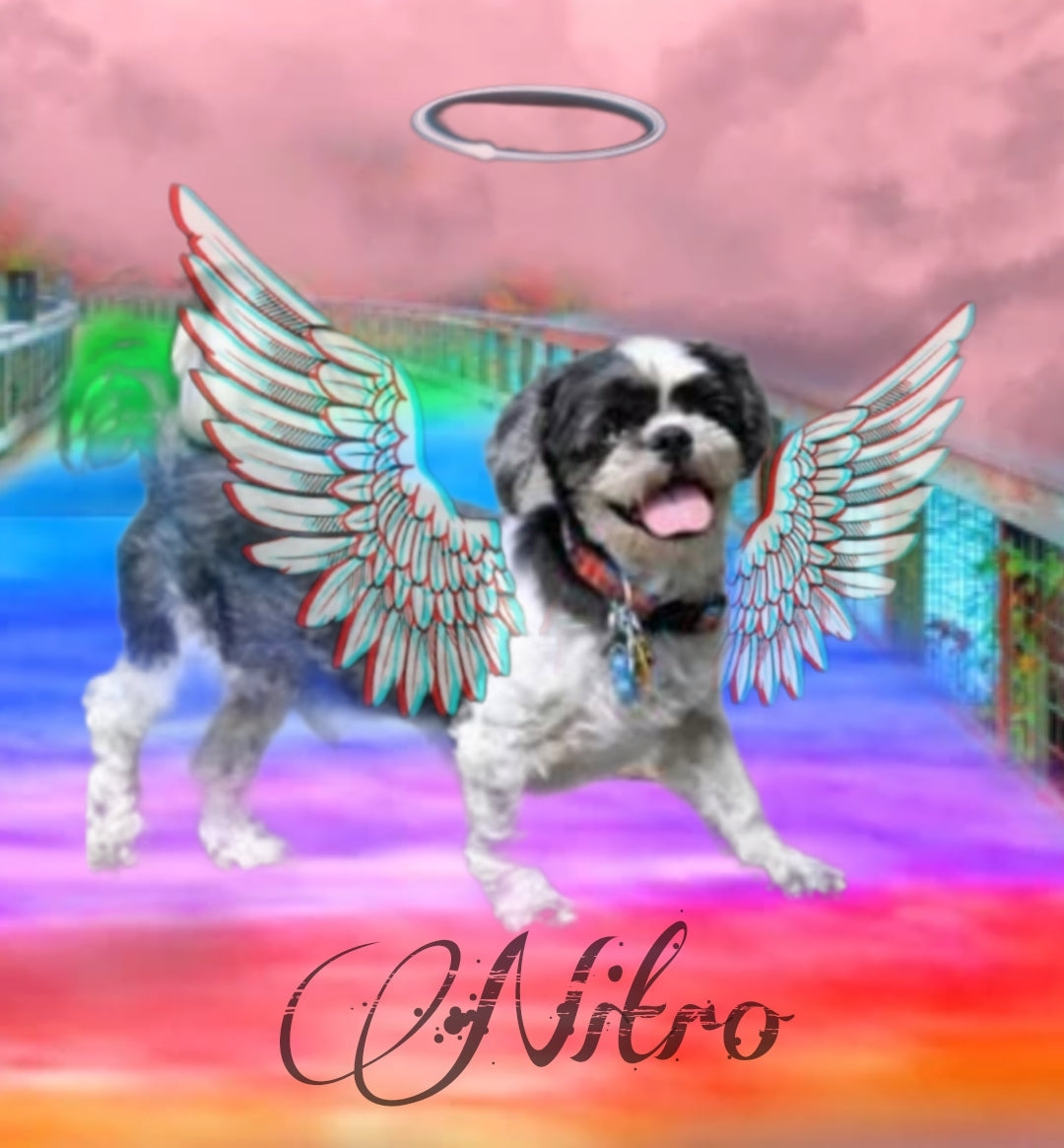 Memorial Freshie | Custom design | Choose size | Made to order