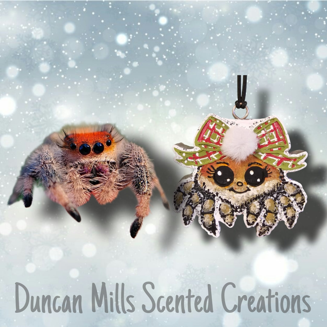 Spider cutie Freshie | Spood lovers  | Jumping spider freshie |Made to order  | Choose color