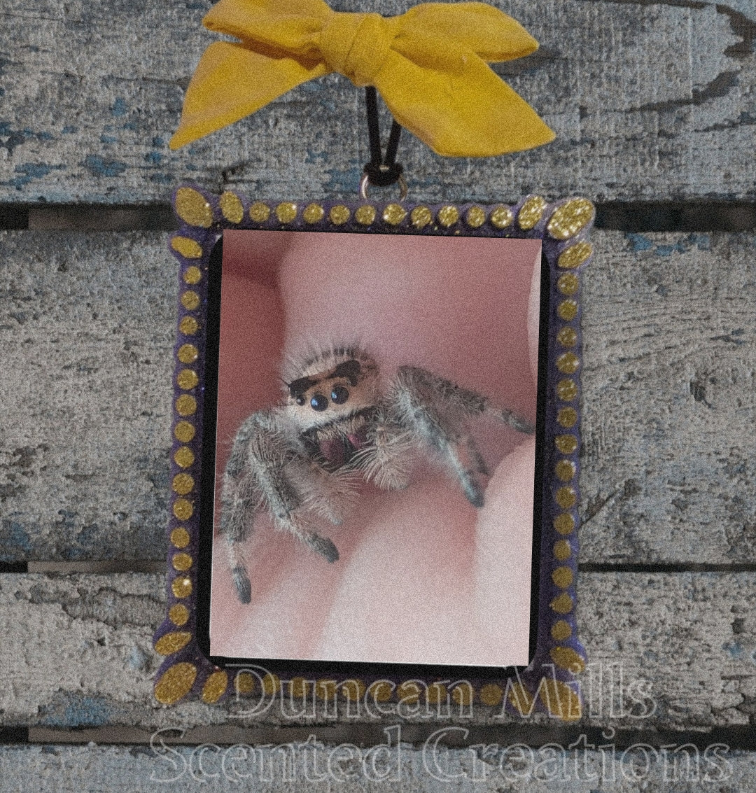 Custom photo Freshie | Choose size  | Made to order