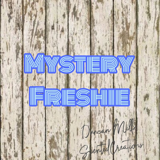Mystery Freshie | Choose theme & value | Made to order